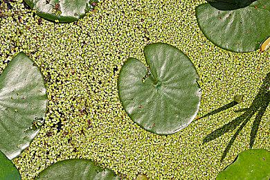 恐怖FPS《斯盖尔仪式》新预告 大战超自然怪物